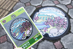 20250624-25_Manhole Cover.JPG