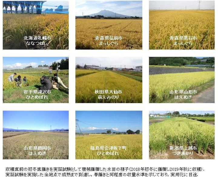 全国実証試験結果.jpg